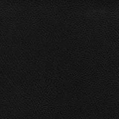 экокожа черная 501