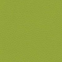 Экокожа VD04 салатовый