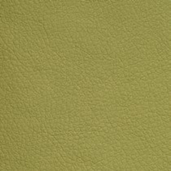 ЭКО-33 салатовый