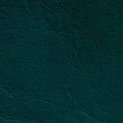 PV-5 кож.зам темно-зеленый 