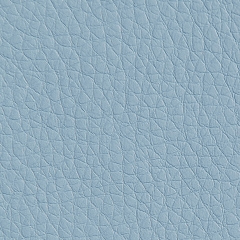 Oregon 36 голубой